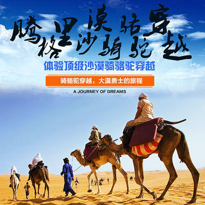 整合資源，打造專業旅游服務新生態